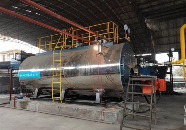 孟加拉国造纸厂10吨燃气蒸汽锅炉