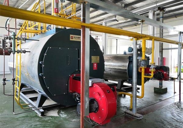 山东威海生物科技公司4吨蒸汽2吨导热油锅炉