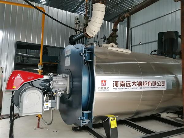 江西橡塑公司3吨燃气导热油锅炉项目